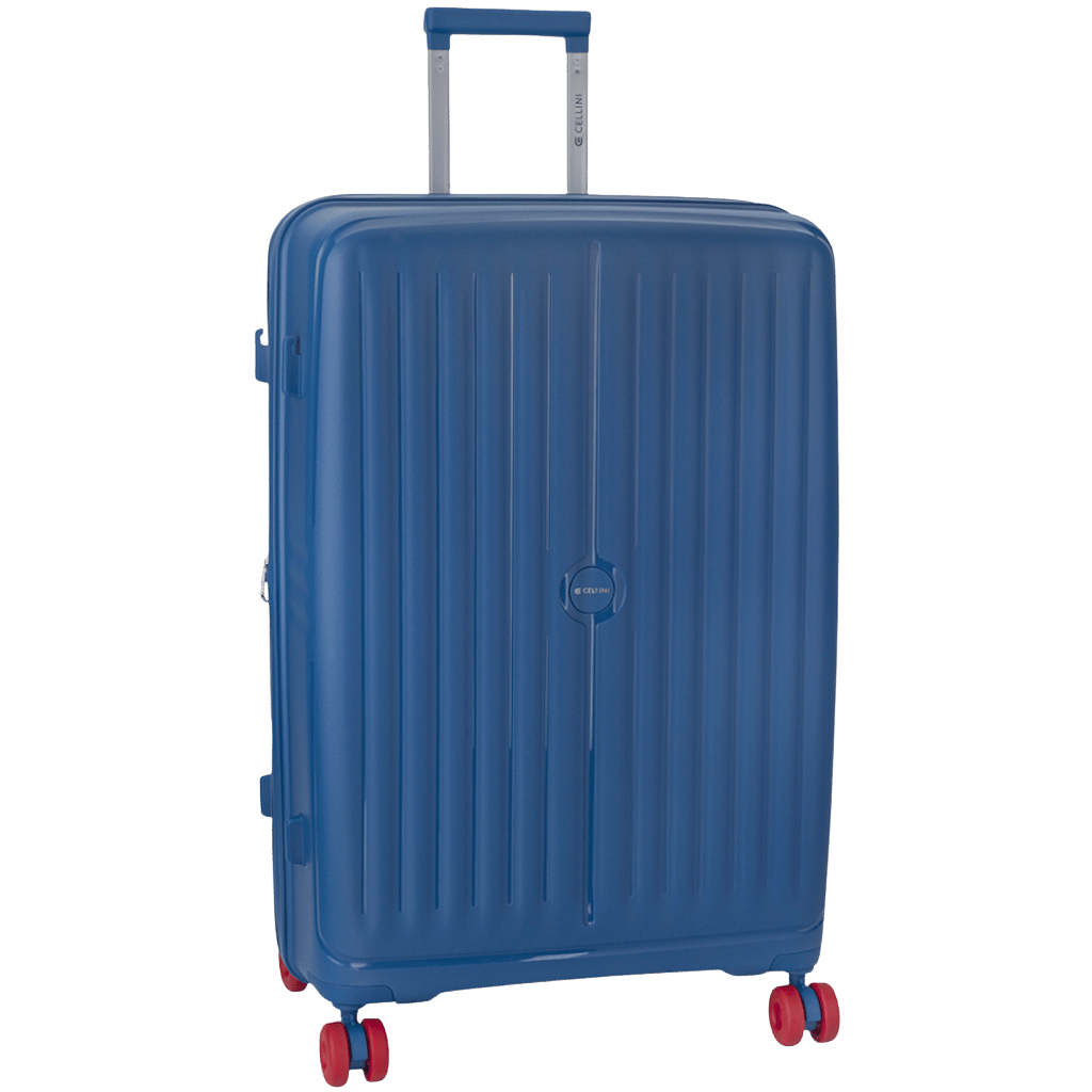 Cellini Rapido hard 2026 blue red wheels primary