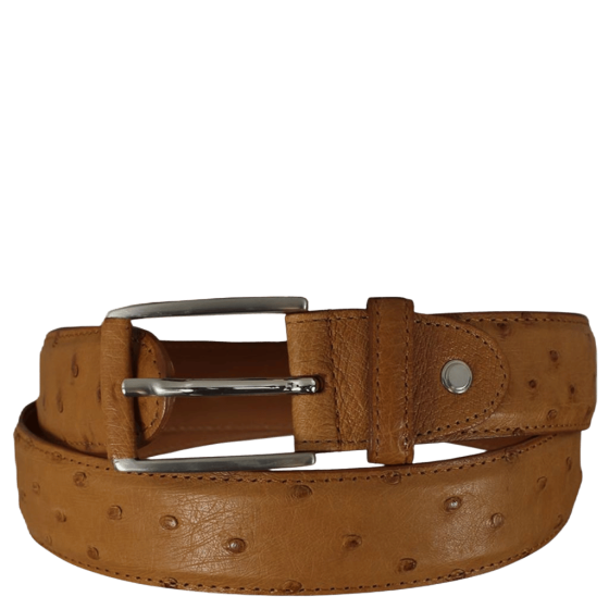 Nico 35mm Ostrich leather belt 131537 cognac primary