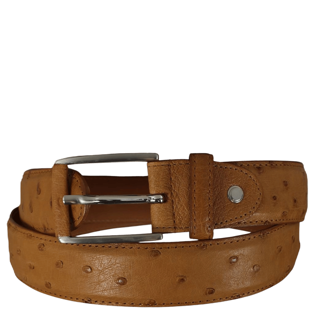 Nico 35mm Ostrich leather belt 131537 cognac primary