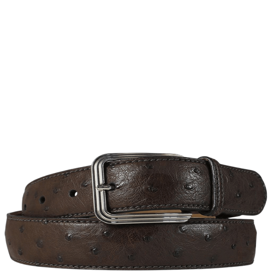 Via La Moda 35mm Warren 404 Ostrich leather belt nicotine brown primary transp