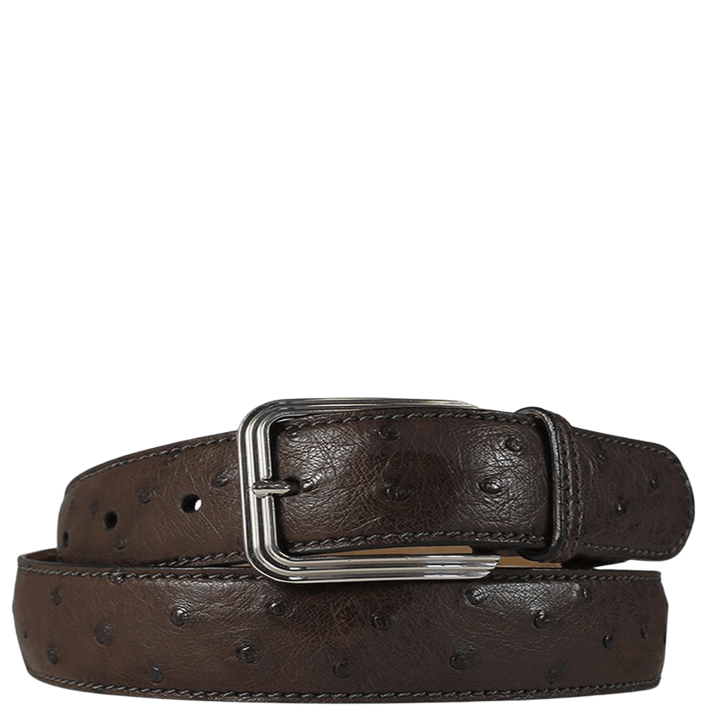 Via La Moda 35mm Warren 404 Ostrich leather belt nicotine brown primary transp