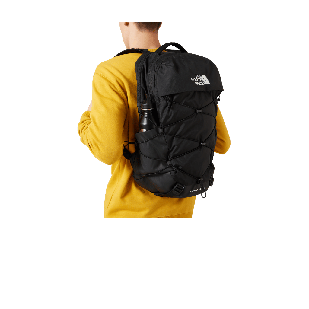 North face lifestyle category