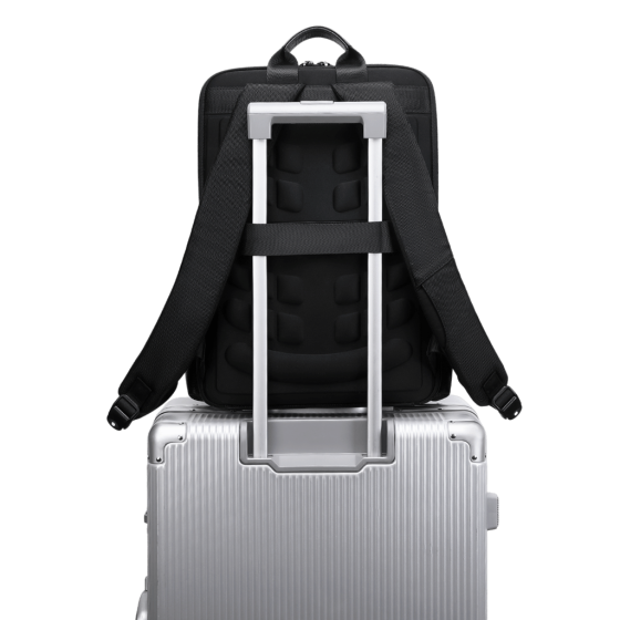 BG Berlin Nexus CEO Leather laptop Backpack 02330P black smart sleeve