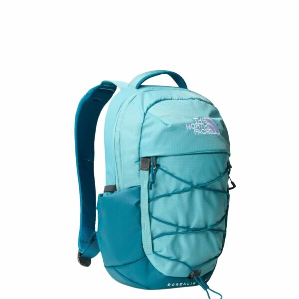 The North Face Borealis Mini Backpack Luggage Warehouse