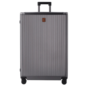 Jekyll_and_Hide_Polycarb_luggage_spinner_775_Silver_tan_trim_Large_front