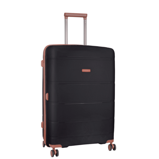 Cellini Monte carlo PP hard Medium back front3qrtr TEMP png