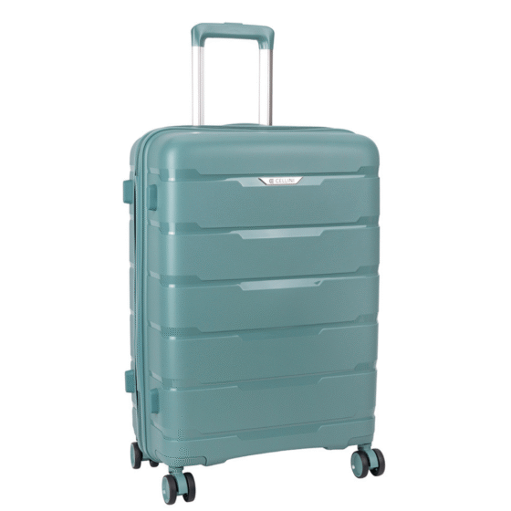 Cellini Rapido Spinner 20065 Large spinner Green front3qrtr png