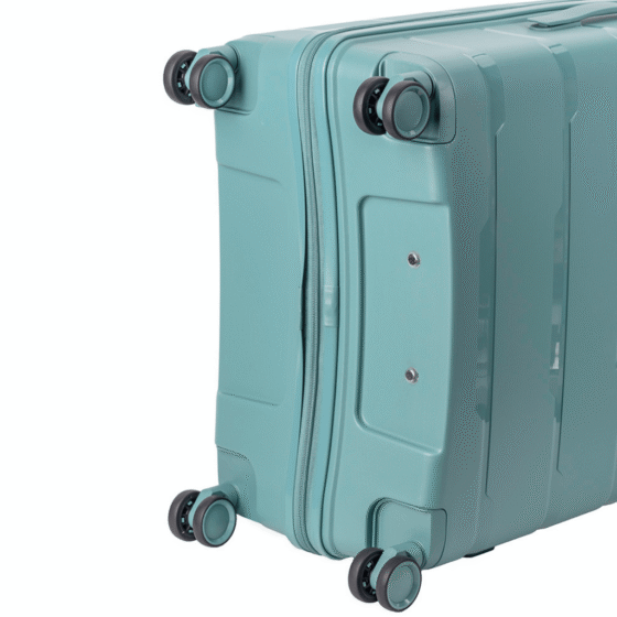 Cellini Rapido Spinner 20075 Large spinner Green wheels png