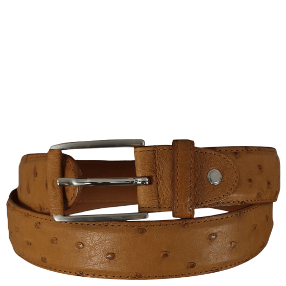 Nico 35mm Ostrich leather belt 131537 cognac primary