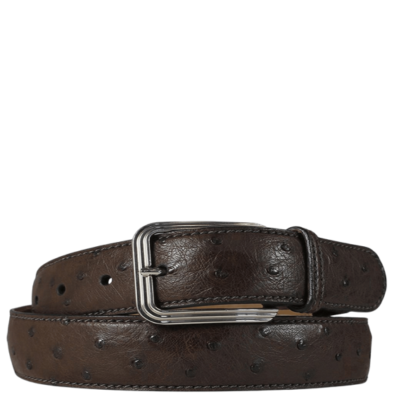 Via La Moda 35mm Warren 404 Ostrich leather belt nicotine brown primary transp