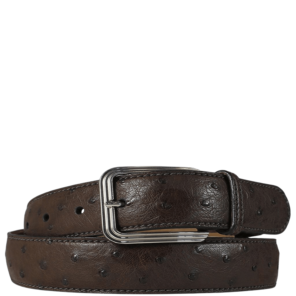 Via La Moda 35mm Warren 404 Ostrich leather belt nicotine brown primary transp