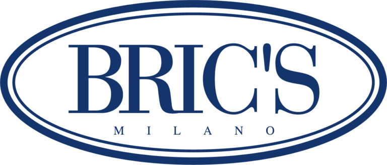 brics logo blue