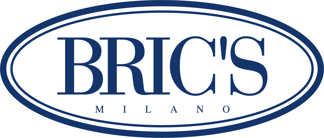 brics logo blue