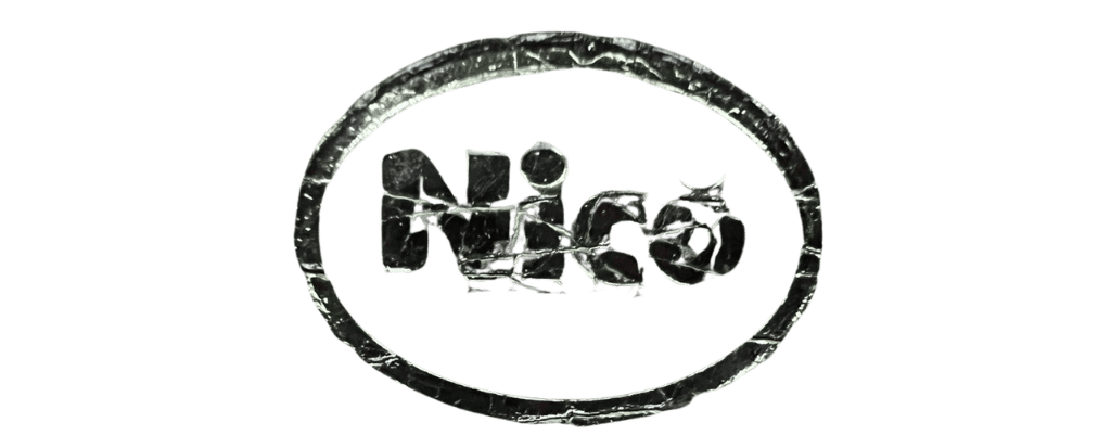 Nico logo2