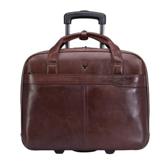 Brando 3189 Brown Winchester primary