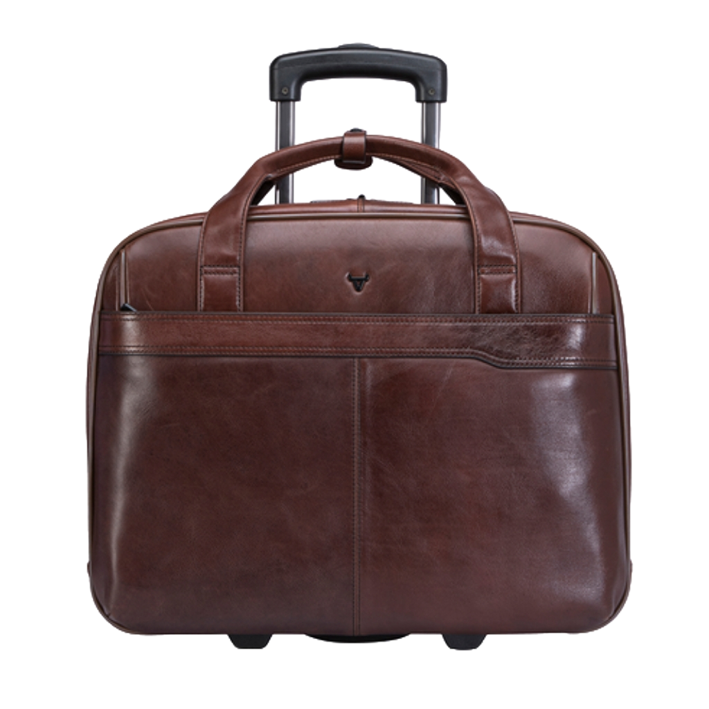 Brando 3189 Brown Winchester primary