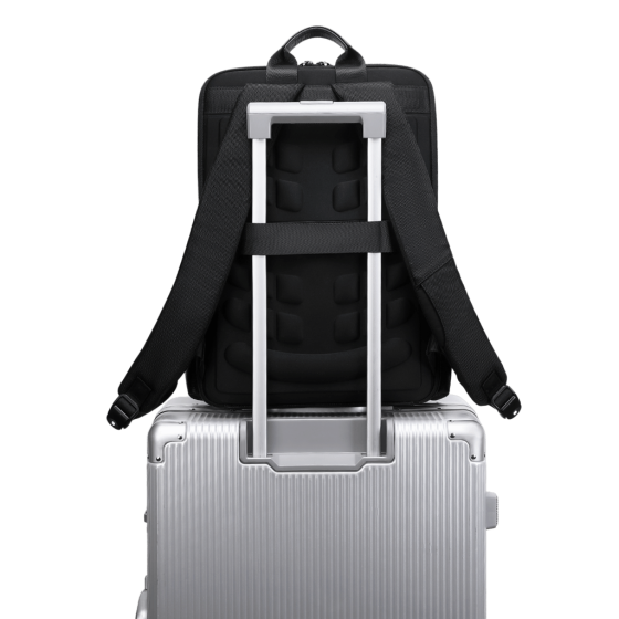BG Berlin Nexus CEO Leather laptop Backpack 02330P black smart sleeve