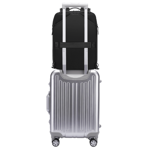 BG Berlin Nexus CEO Core laptop Backpack KB24251 black carr